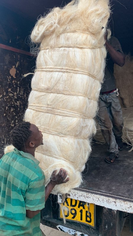 Sisal fibers from Kenya